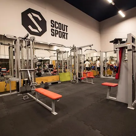 Scout 3*