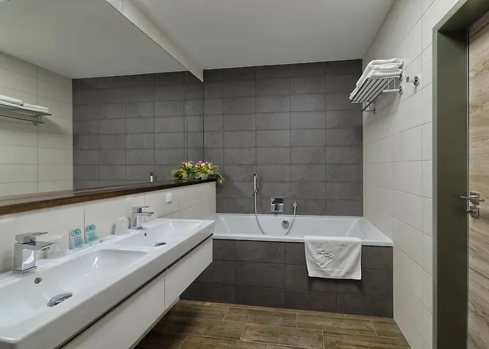 酒店 斯考特酒店 3*